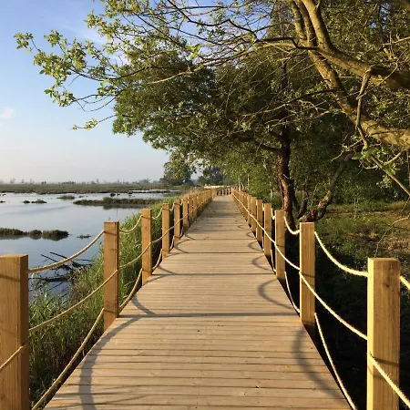 Homestay Casa Do Paco Studio&rooms Aveiro