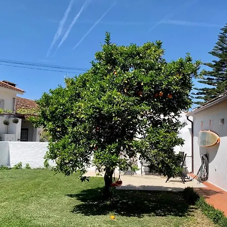 Casa Do Paco Studio&rooms Homestay