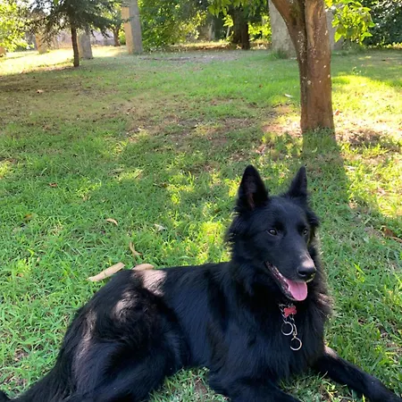 Casa Do Paco - Studio&rooms