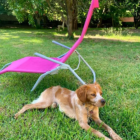 Casa Do Paco - Studio&rooms Privat bolig Aveiro