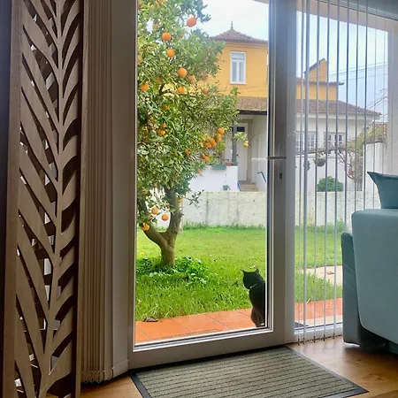 Homestay szállás Casa Do Paco Studio&rooms Aveiro
