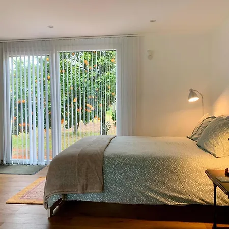 Quarto em Acomodações Particulares Casa Do Paço Studio&rooms Aveiro
