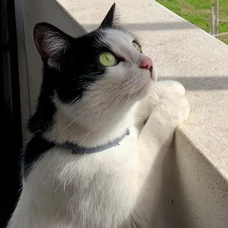 Casa Do Paco - Studio&rooms Privat bolig