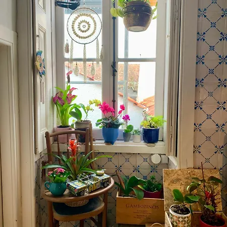 Homestay Casa Do Paco Studio&rooms Aveiro