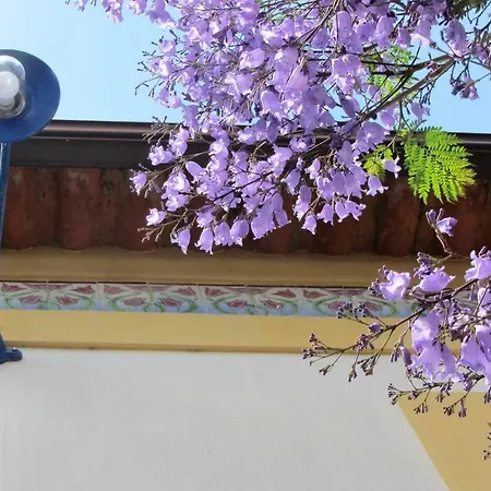Privat bolig Casa Do Paco Studio&rooms Aveiro