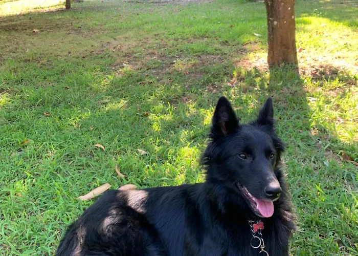 Casa Do Paço Studio&rooms