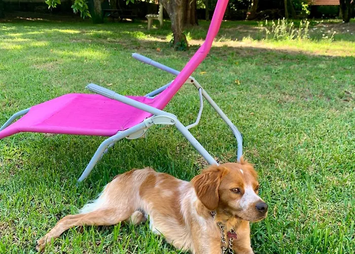 Casa Do Paço Studio&rooms Séjour chez l'habitant Aveiro