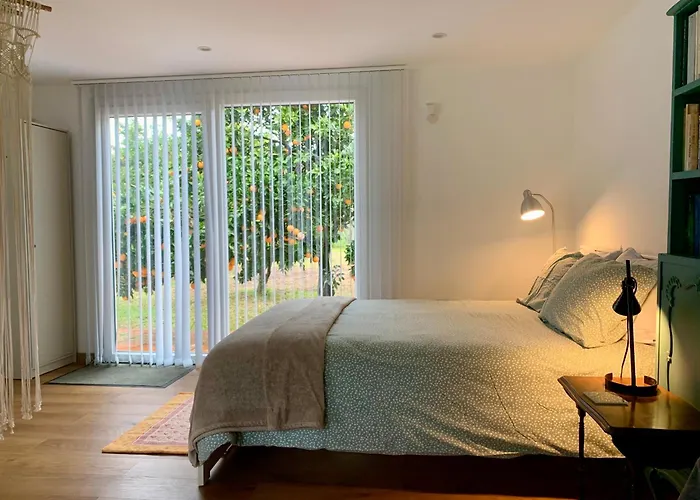 Séjour chez l'habitant Casa Do Paço Studio&rooms Aveiro