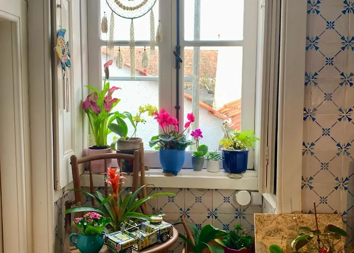 Séjour chez l'habitant Casa Do Paço Studio&rooms Aveiro