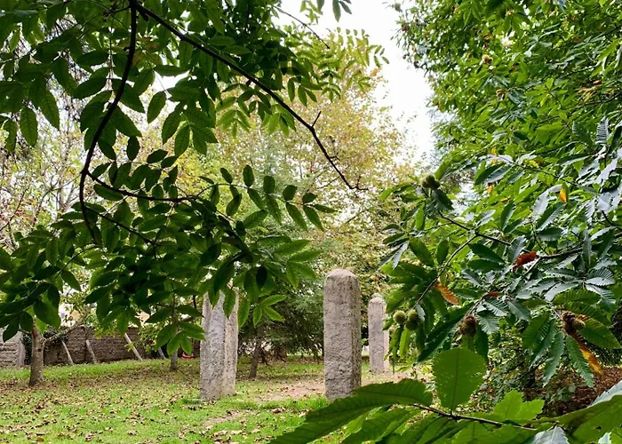 Séjour chez l'habitant Casa Do Paço Studio&rooms *