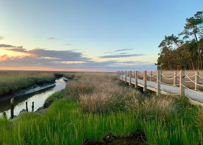 Casa Do Paço Studio&rooms Séjour chez l'habitant Aveiro