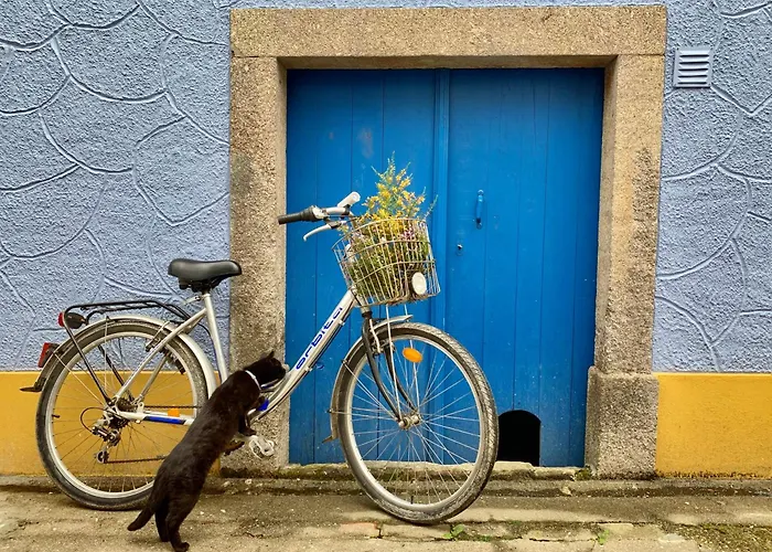 Séjour chez l'habitant Casa Do Paço Studio&rooms *